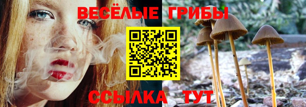 Галлюциногенные грибы прущие грибы Ухта